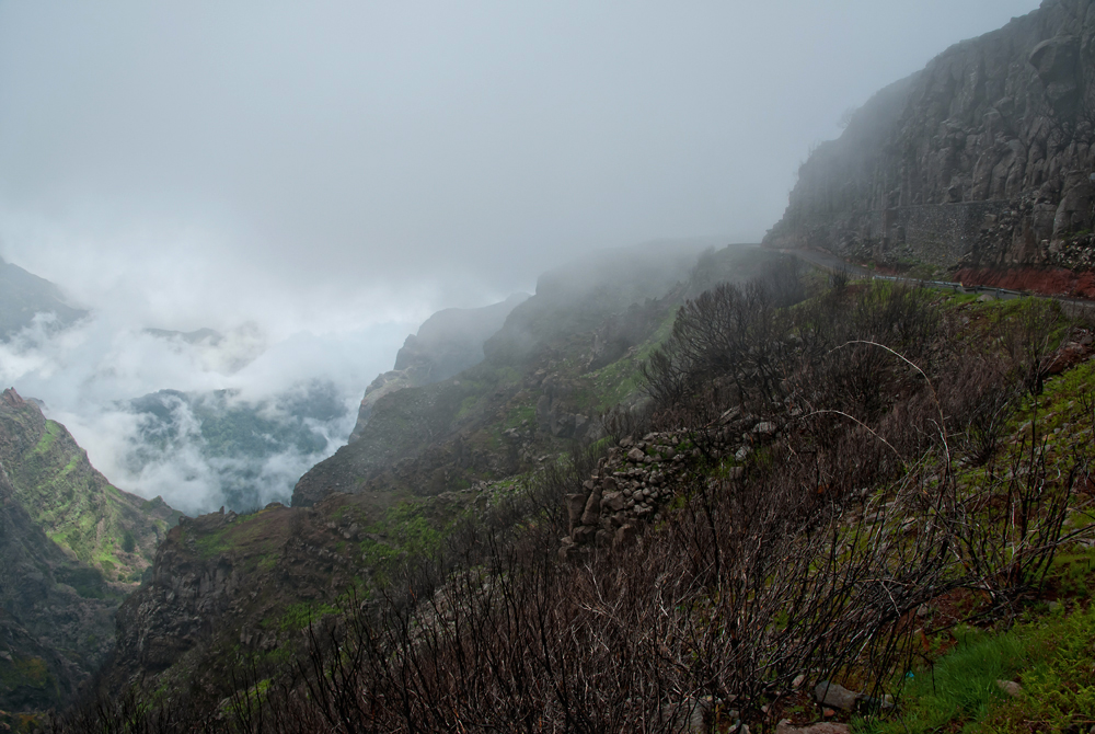 022_Madera_w drodze na Pico do Arieiro.jpg